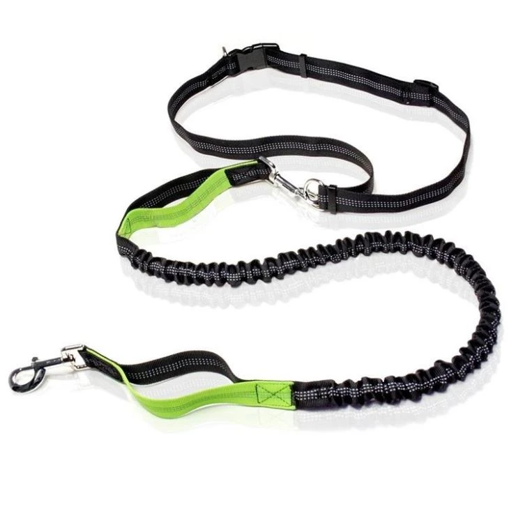 Hands Free Bungee Dog Leash