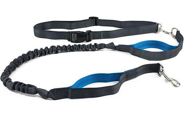 Hands Free Bungee Dog Leash