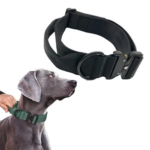 K9 kolye ak manch