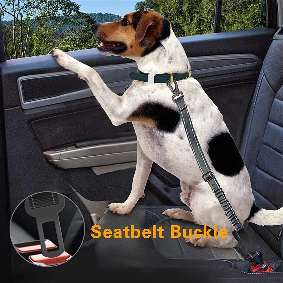 dog travel safety leash
