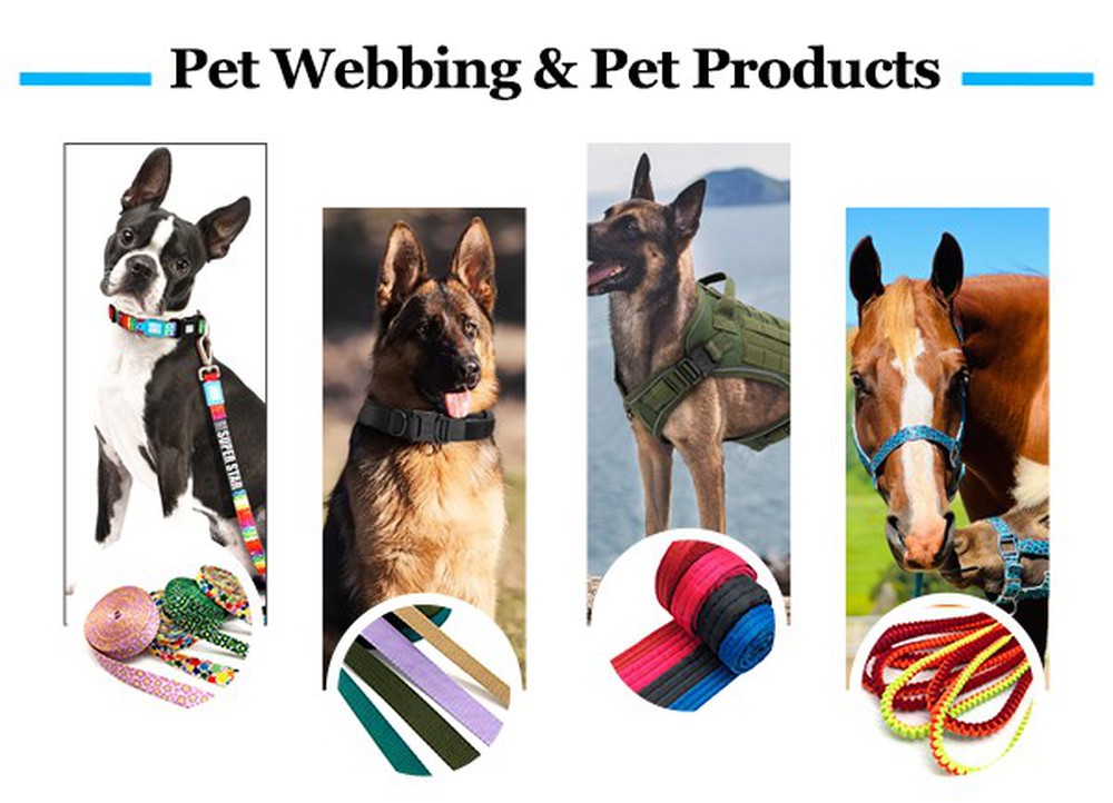 Pet webbbing Pet webbbing
